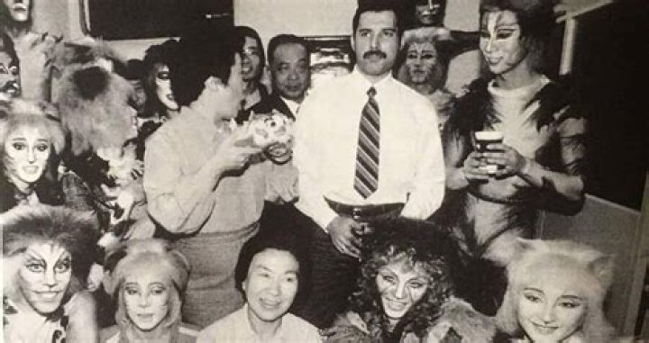 13 Rare Photos Of Freddie Mercury And His Cats