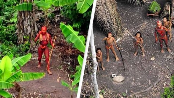 4 Fascinating Uncontacted Tribes From The Sentinelese To The Korowai