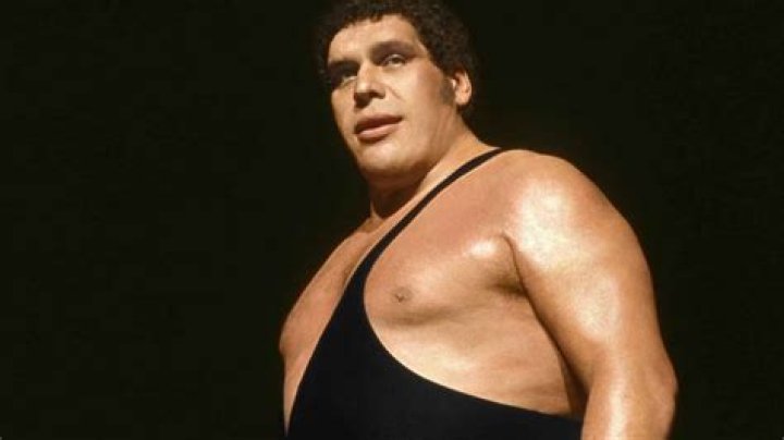 André the Giant