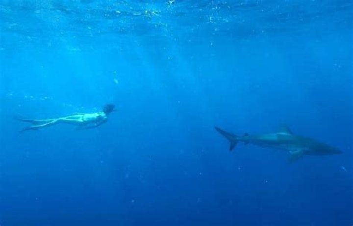 Cara Delevingne Loves the Ocean! ~Sea~ Her Sexiest Bikini and Swimsuit Photos