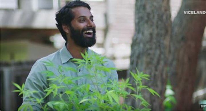Check Out The Season 2 Trailer For "Weediquette"