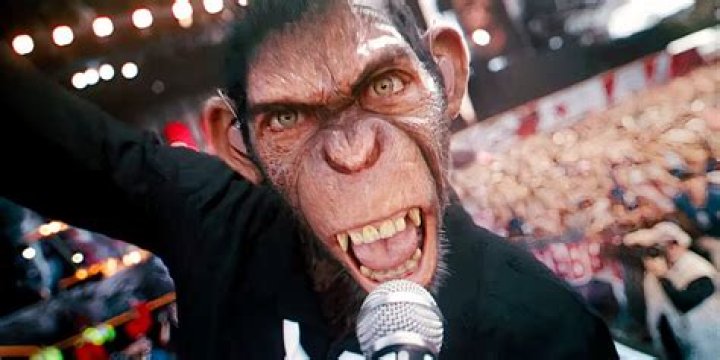 Crystal the Monkey Biography, Age, Height, Husband, Net Worth, Family