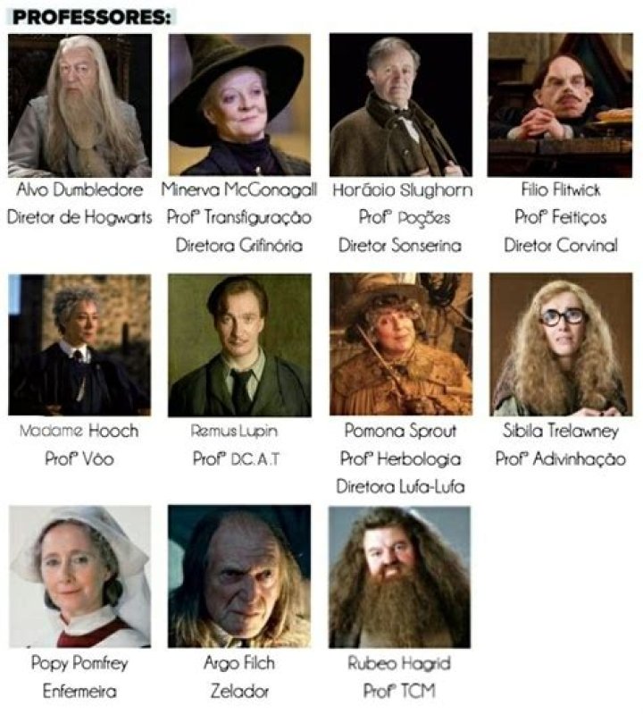 ¿Cuántos profesores hay en Harry Potter?