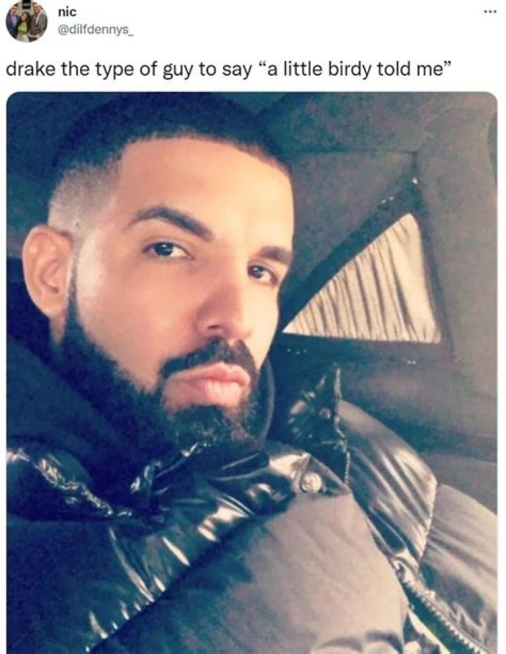 Drake Memes: The Best "Drake The Type" By Far