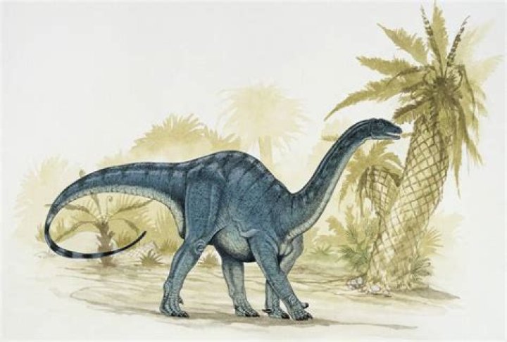 Earliest Evidence Of Dinosaurs Living In Herds Discovered In Argentina