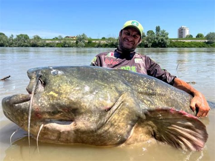 Faceless Fish Caught in Australia for the First Time in 140 Years