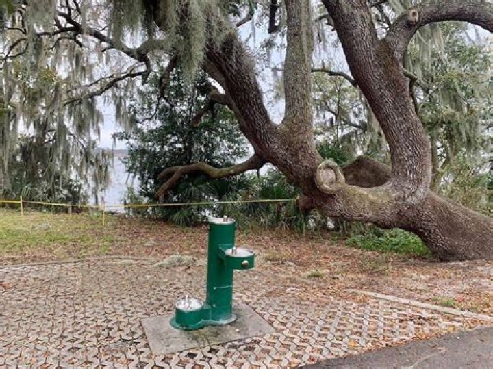 Florida Snake Orgy Forces Local Government To Close Off Park Area