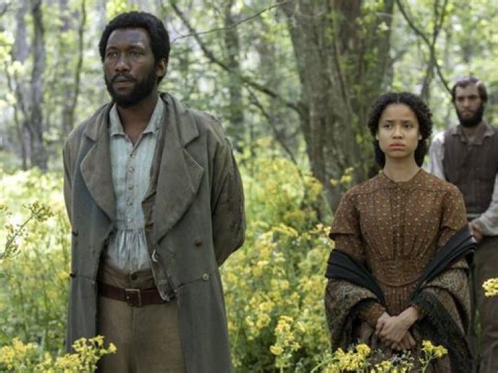 How Rachel Knight Helped Found The Free State Of Jones