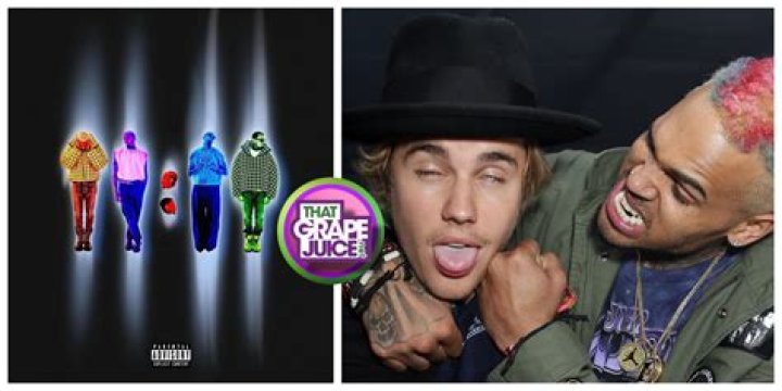 Justin Bieber, Chris Brown, and More Stars Who Are Hated by Their Neighbors