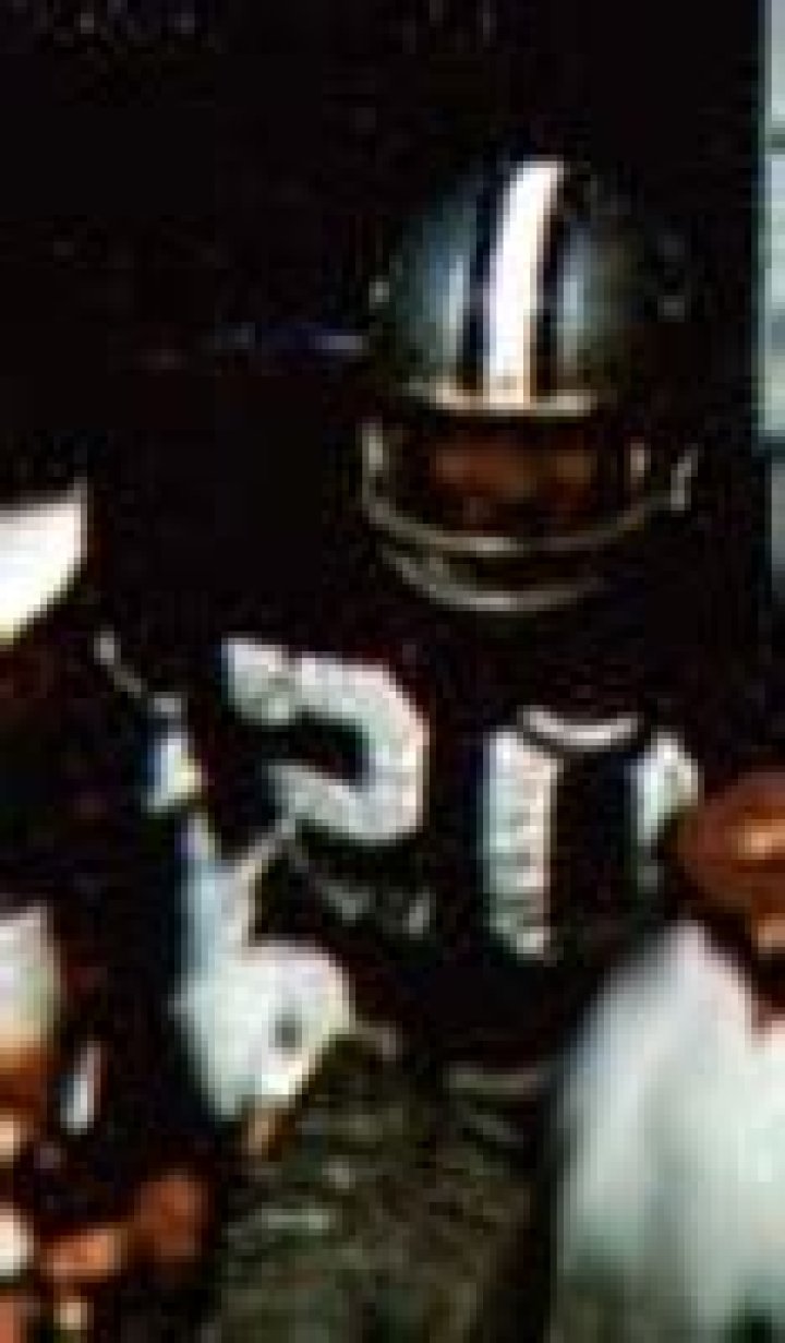 Mel Renfro (Football Player) - Age, Birthday, Bio, Facts, Family, Net Worth, Height & More