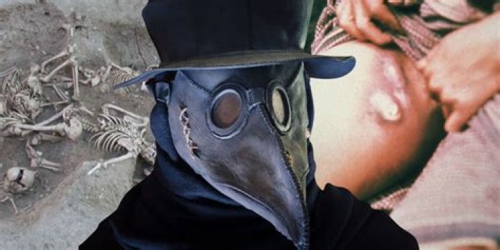 Plague Doctors, The Masked Physicians Who Fought The Black Death