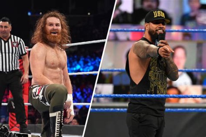 Sami Zayn (Wrestler) - Age, Birthday, Bio, Facts, Family, Net Worth, Height & More