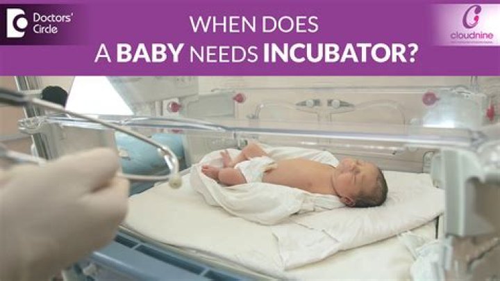 The 'Incubator Doctor' Who Saved Premature Babies