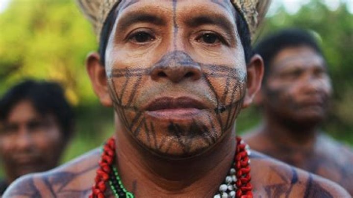 The Last Man Of An Amazonian Tribe Was Killed By COVID-19