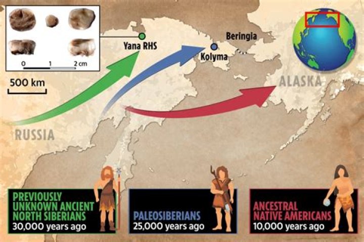 The Missing Link In Human Evolution