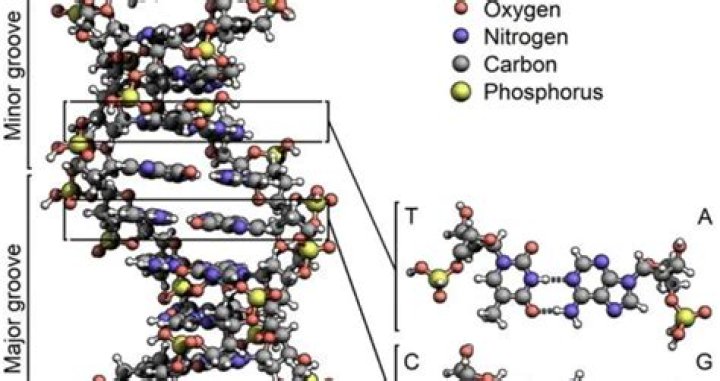 The Most Amazing Discoveries Made While On Drugs