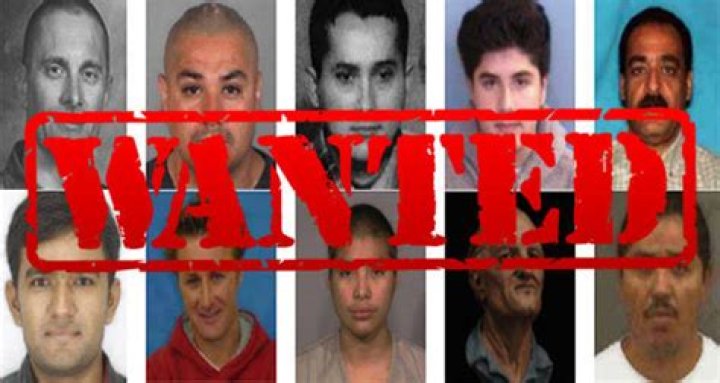 The Most Wanted Fugitives Right Now