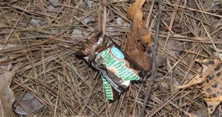 Trail Of Candy Wrappers Lead Police To Burglary Suspects