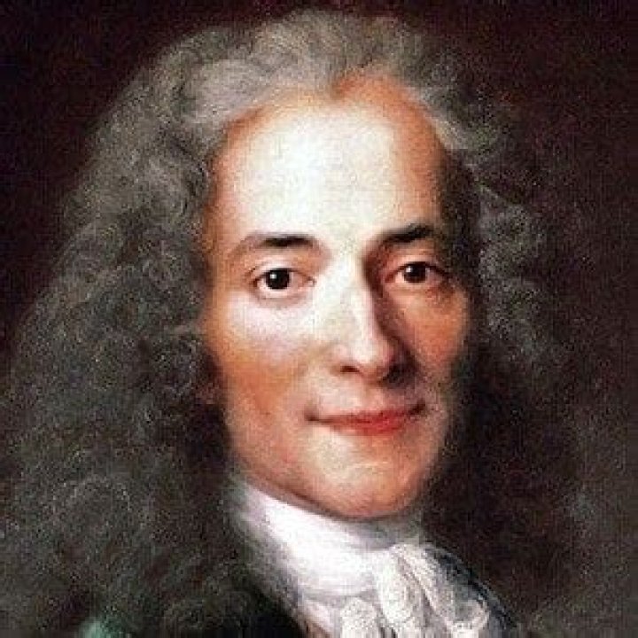 Voltaire (Historian) - Age, Birthday, Bio, Facts, Family, Net Worth, Height & More