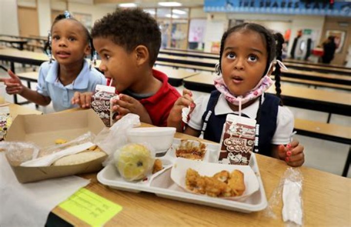 What's For Lunch At Schools Around The World?
