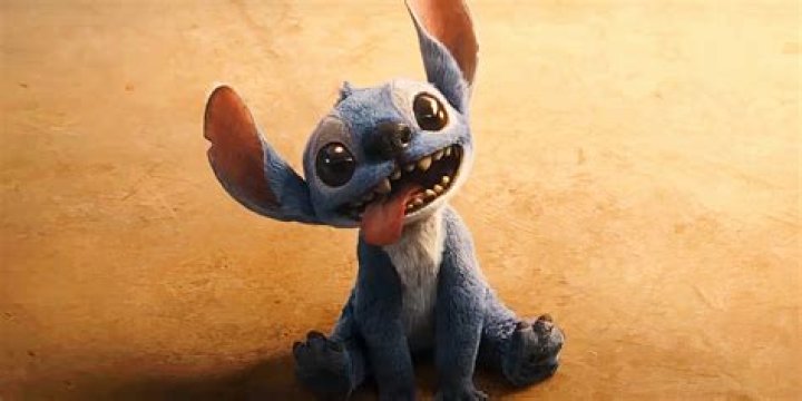 What animal is Stitch? – Celebrity.fm – #1 Official Stars, Business & People Network, Wiki, Success story, Biography & Quotes