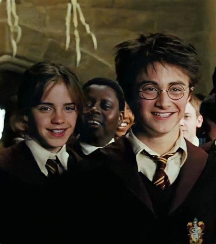 What did Harry and Hermione learn from Rita?