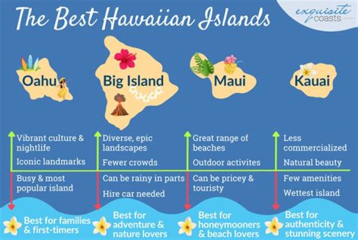 Why is Hawaii 5 O Cancelled? – Celebrity.fm – #1 Official Stars, Business & People Network, Wiki, Success story, Biography & Quotes
