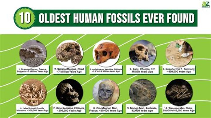 World's Earliest Known Fossilized Forest Discovered In England